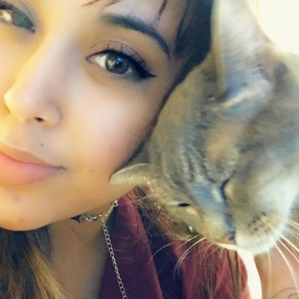 Meet your Posher, Majestic